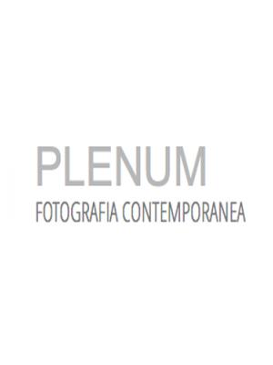 Plenum