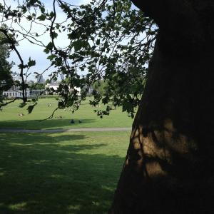 Greenwich Park