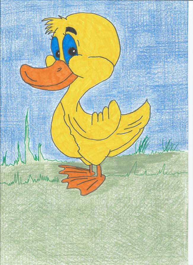 Duck