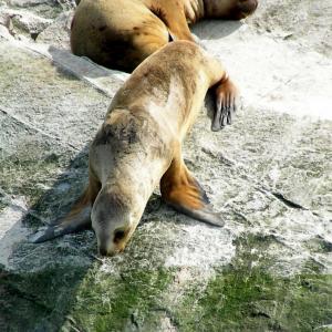 Argentina, Patagonia