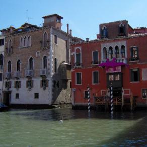 Un coccodrillo rosa a Venezia