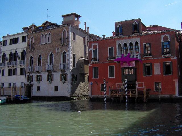 Un coccodrillo rosa a Venezia