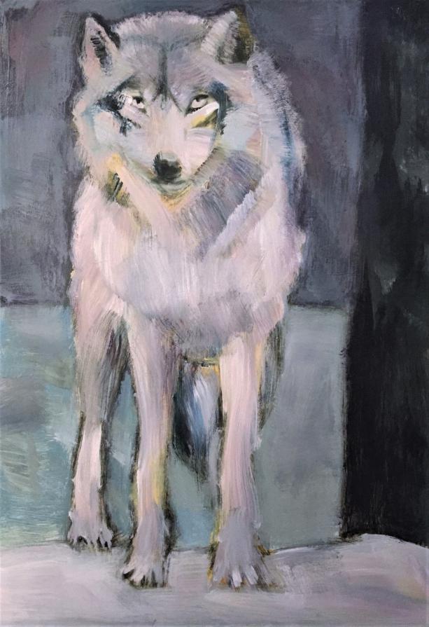 A Wolf