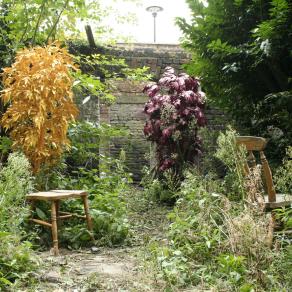 Autumn Garden (Painted Trees)