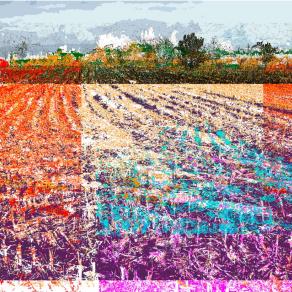 "Flooded fields between Visco and Jalmicco"