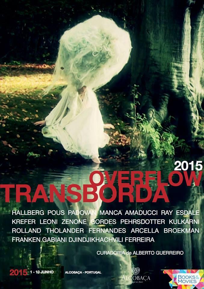 Overflow Transborda 2015