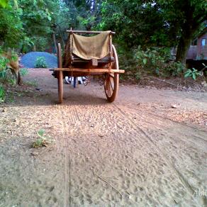 Rural Living - Bullock Cart