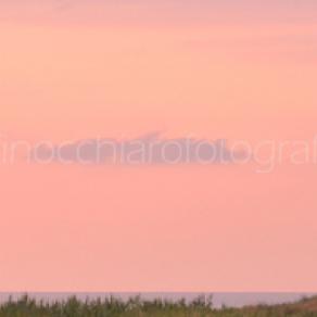 Landscape - Sicily, Tramonto con uccelli