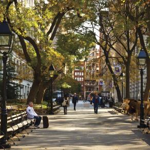 Admiring Luggage in Washington Square Park