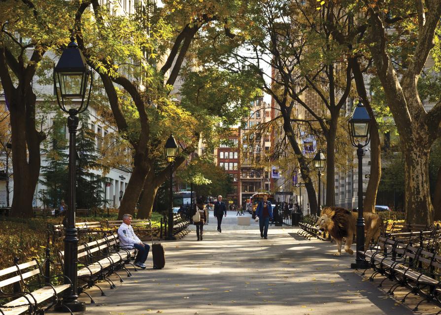 Admiring Luggage in Washington Square Park