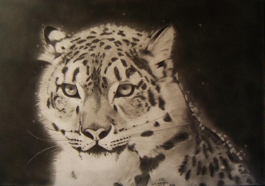 Leopardo delle nevi