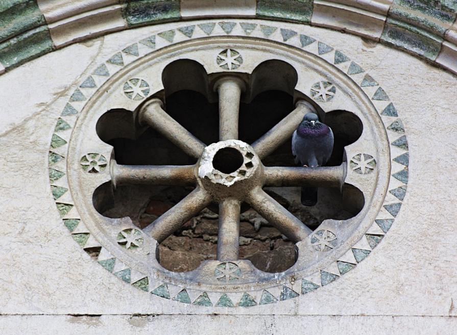 Lucca, ruota di sosta