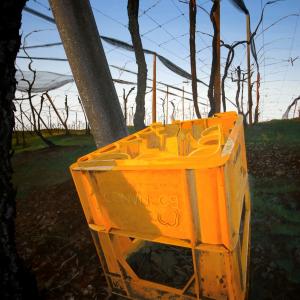 Paesaggio con cassetta gialla