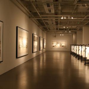 li Chevalier solo exhibition opened at the National Art Museum of China