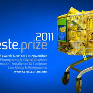 Awards & Final Exhibition Celeste Prize 2011