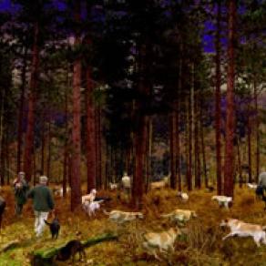 The Hunt in the Forest