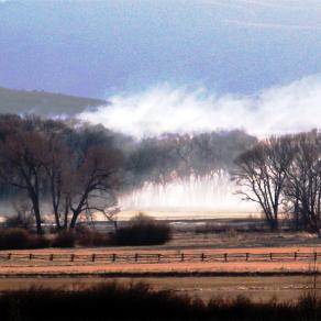 Morning Mountain Mist 2