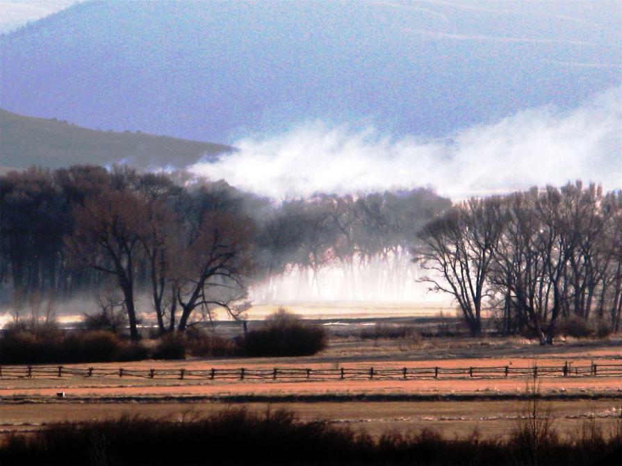 Morning Mountain Mist 2