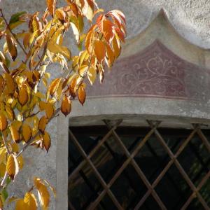 Italy. Trentino Alto Adige. Autumn colors