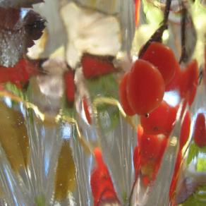 Viburnum berries