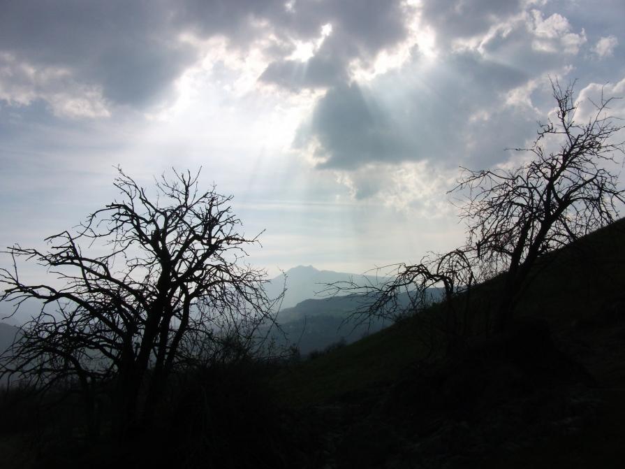 BIODIVERSITÀ