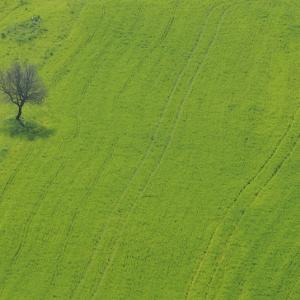 Italy. Basilicata & Campania. Dropouts and rediscovered