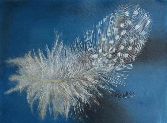 guinea fowl feather