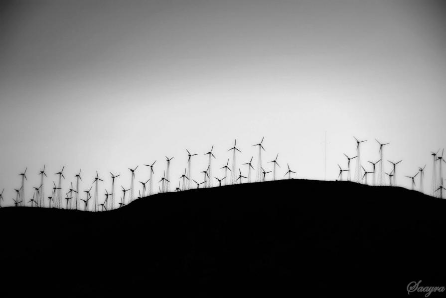 Windmills of Tehachapi