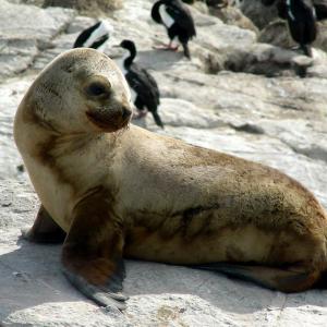 Argentina, Patagonia