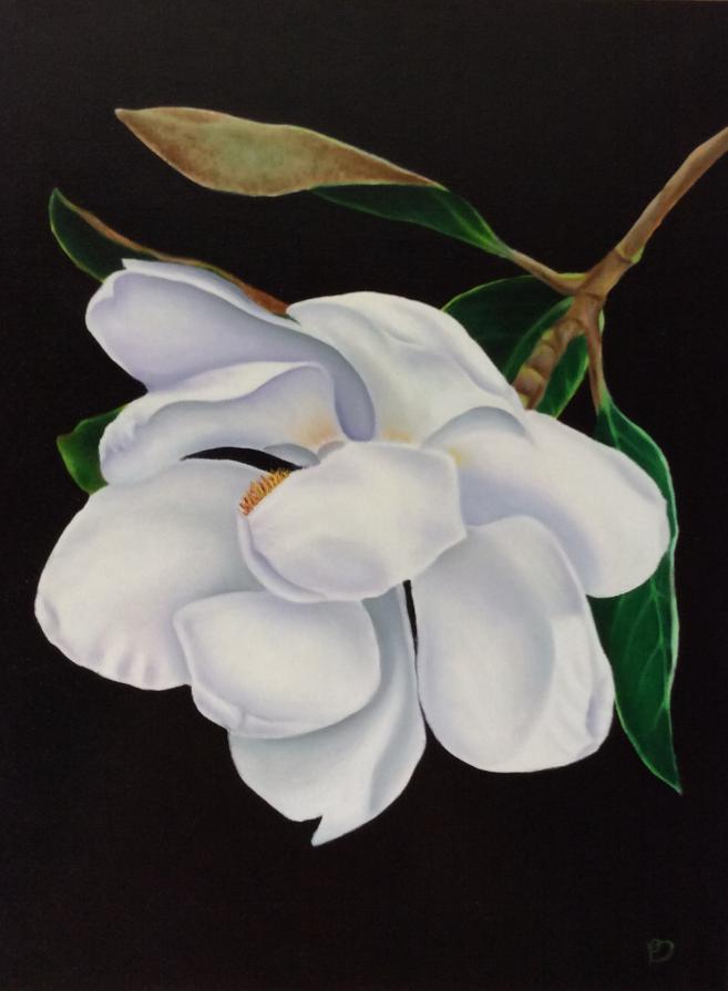 Magnolia