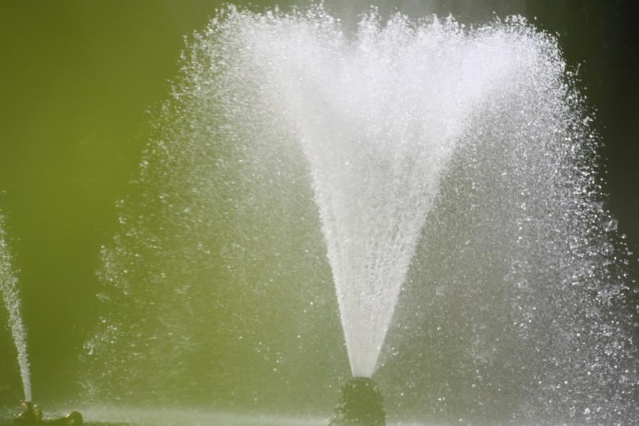 ACQUA  CON RAGGIO VERDE