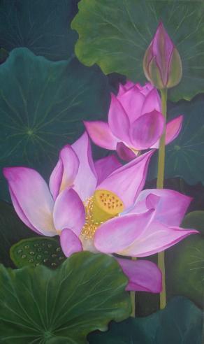 Lotuses II