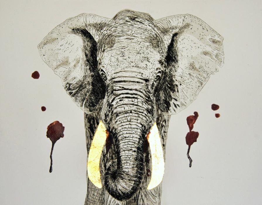 Elephant’s blood