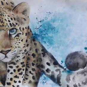 Leopardo