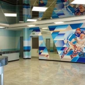 Paintings in the sports complex. Moscow