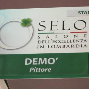 MOSTRA DI DEMO' - MEXPO 2013 - MALPENSAFIERE - BUSTO ARSIZIO