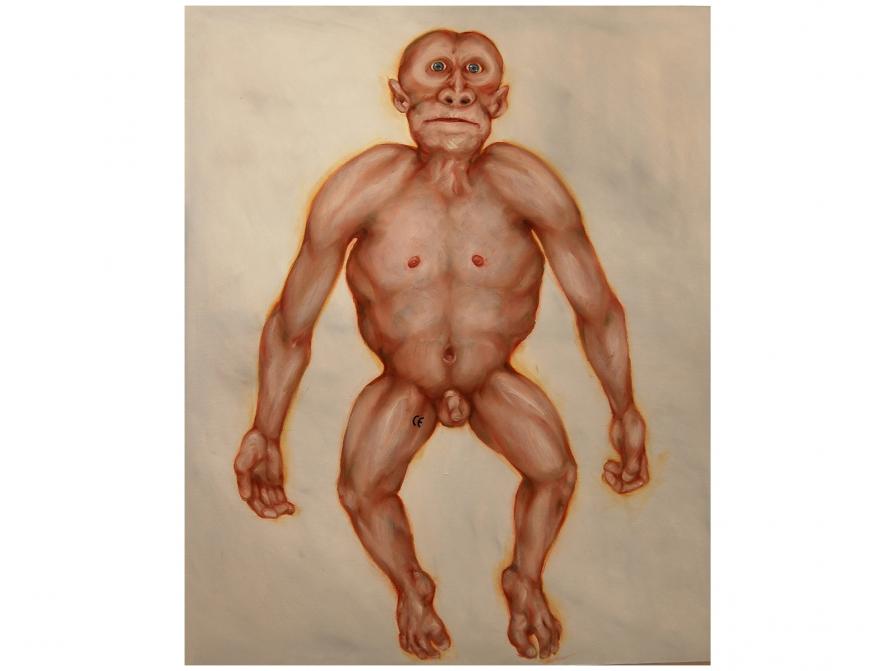 GREAT APE ACCORDING TO E.C. LAW