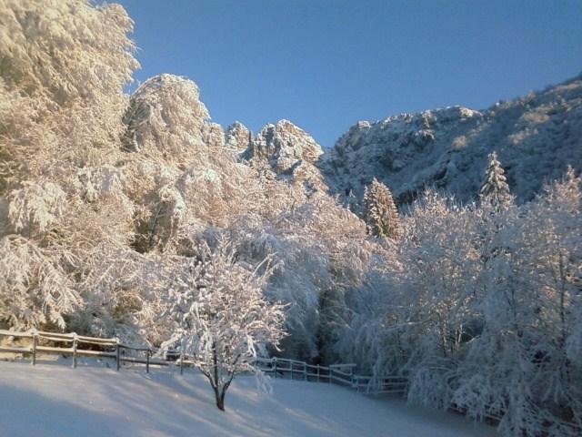 Mattino d'inverno