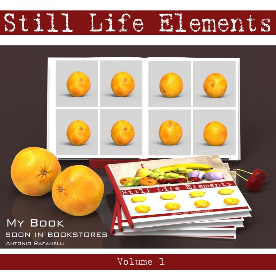 Book STILL LIFE ELEMENTS