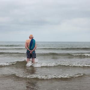 copper horses swimming photo