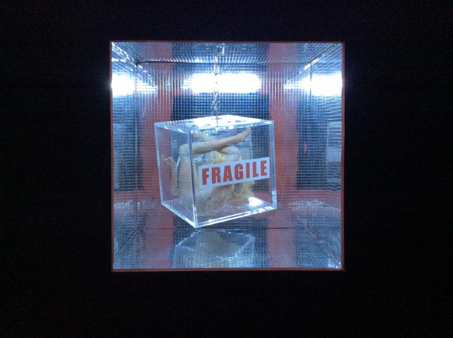 FRAGILE