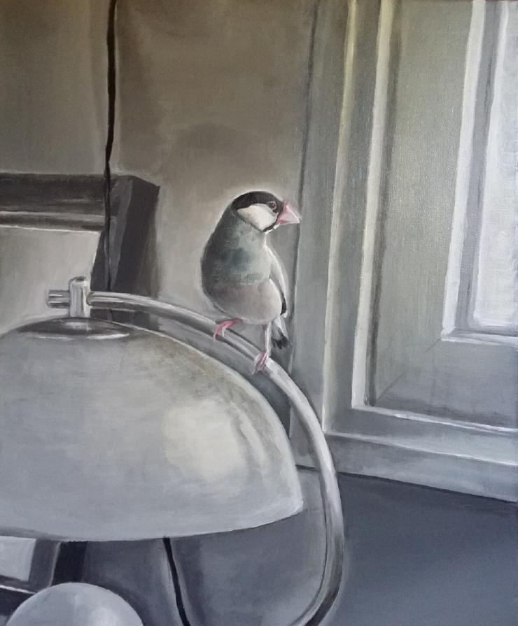 Interior with Java Sparrow