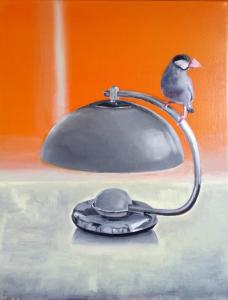 Kevin Song - Java sparrow perched on a lampshade