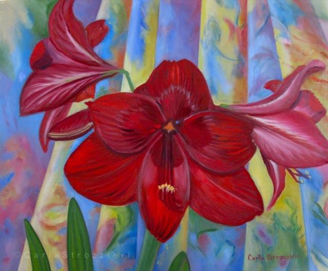 Amaryllis