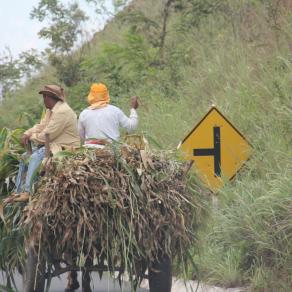 A nord di Minas Gerais - Brasile