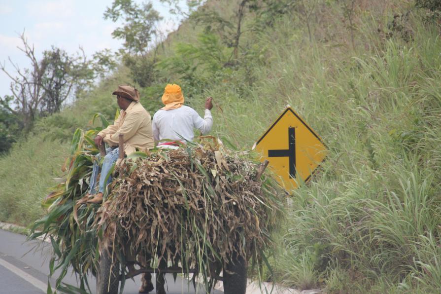 A nord di Minas Gerais - Brasile