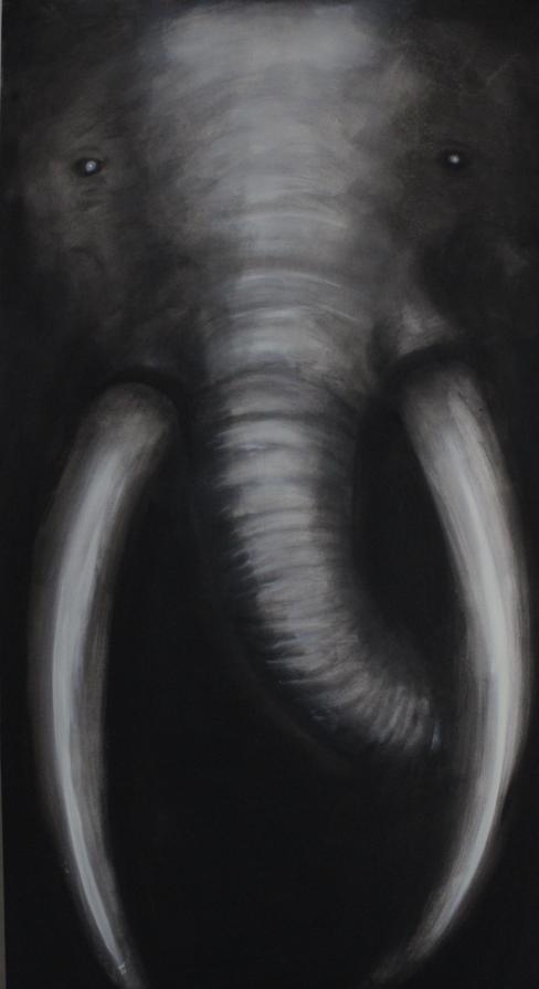 Elephant 