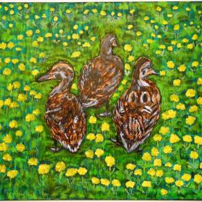 Three Ducklings