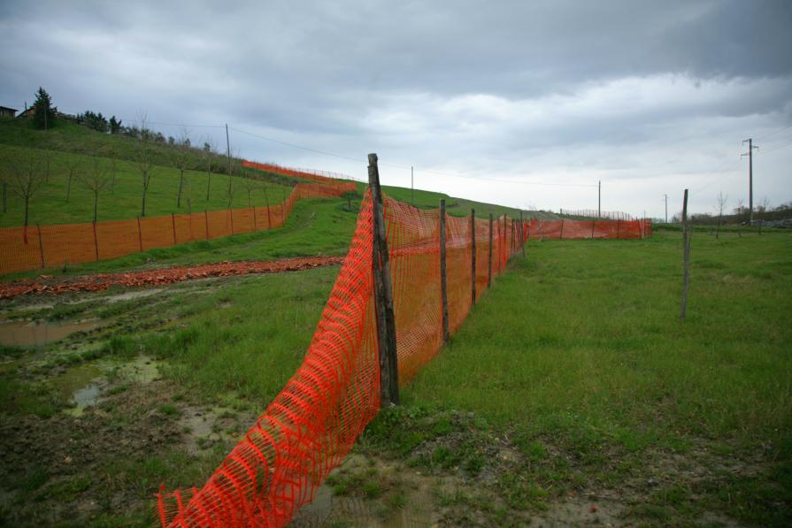 Red Fence