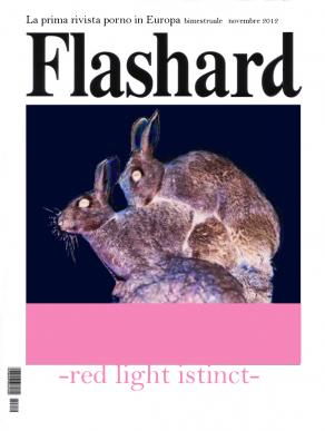 Flashard